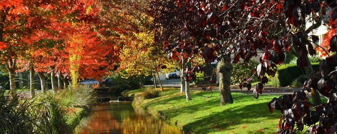 Things To Do in Albany