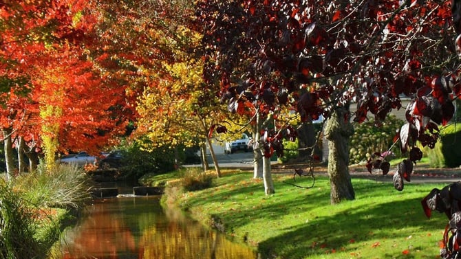 Things To Do in Albany